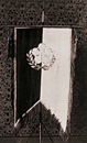 学院校旗